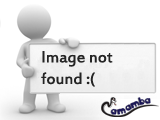 Free Webcam Chat